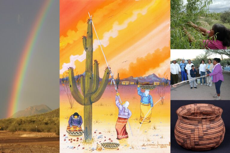 Collage of an image of a rainbow, painting of a sagauro cactus, a basket and a native american picking mesquite beans.