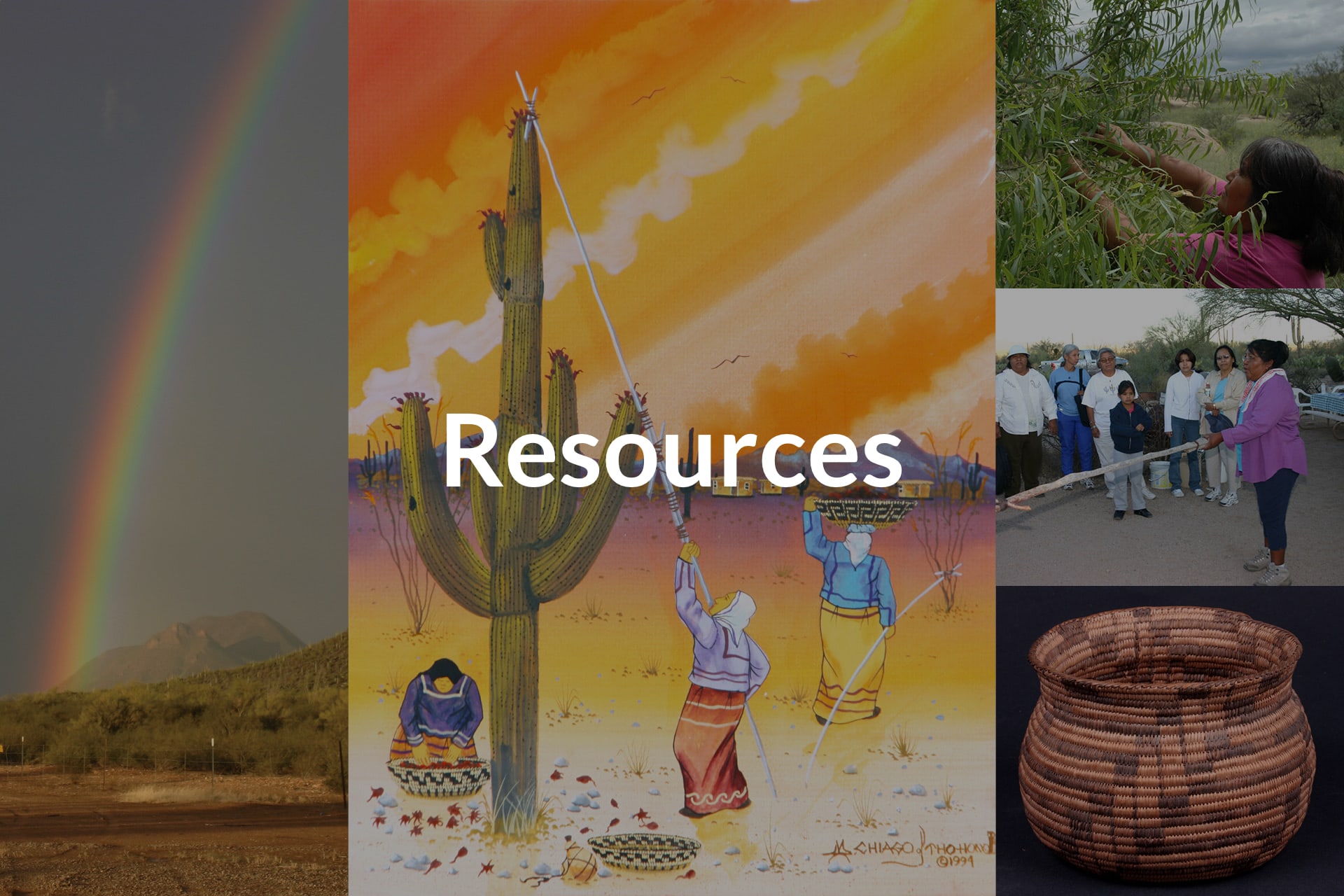 Collage of an image of a rainbow, painting of a sagauro cactus, a basket and a native american picking mesquite beans.