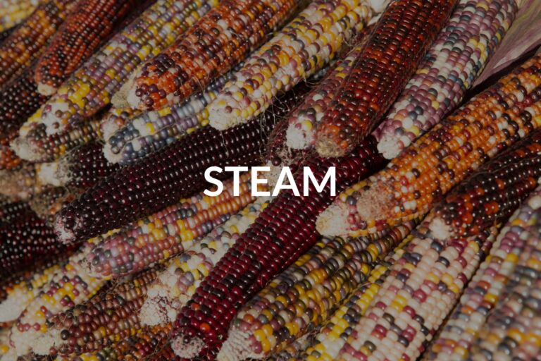 Colorful harvest corn representative of Thanksgiving with the title STEAM overlayed on top.
